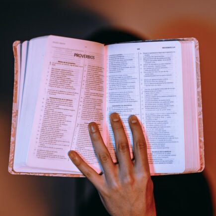 Bible Verses About Confidence