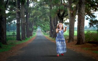 pexels quang nguyen vinh 222549 3872147